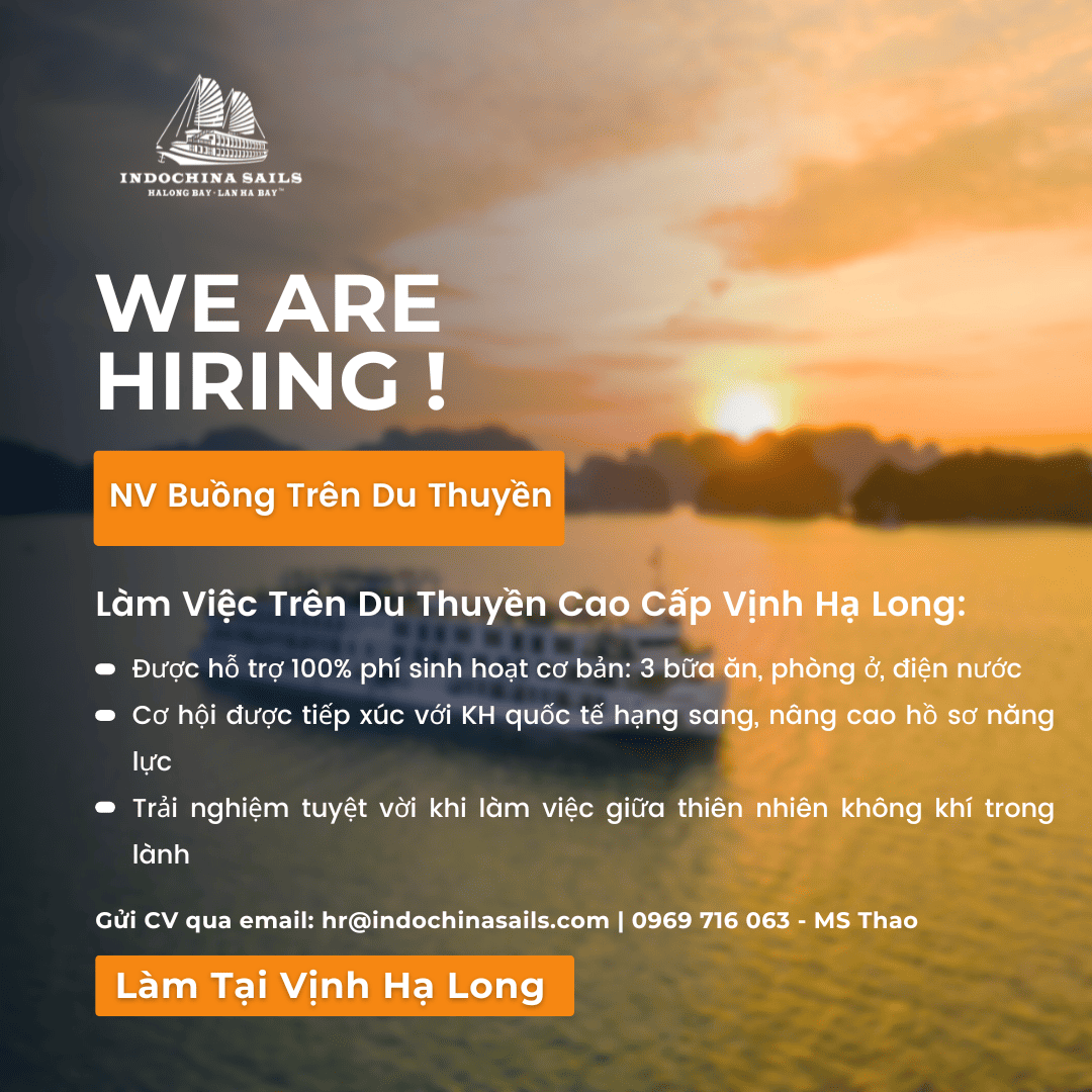 Tuyển Nhân Viên Buồng Trên Du Thuyền