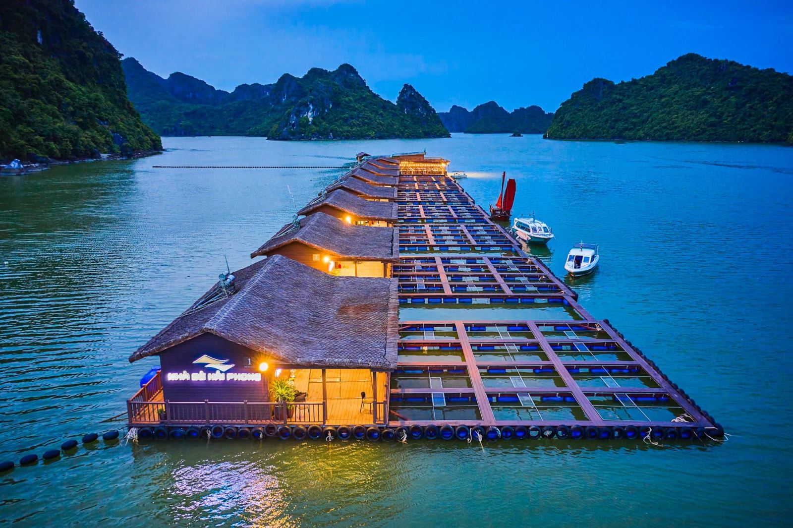 Lan ha bay